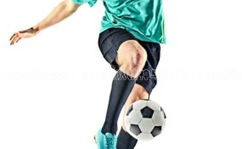 杏悦娱乐登录注册百度翻译App