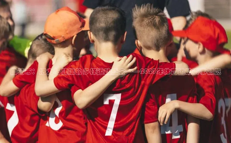 杏悦APP官方网站入口诸葛科技