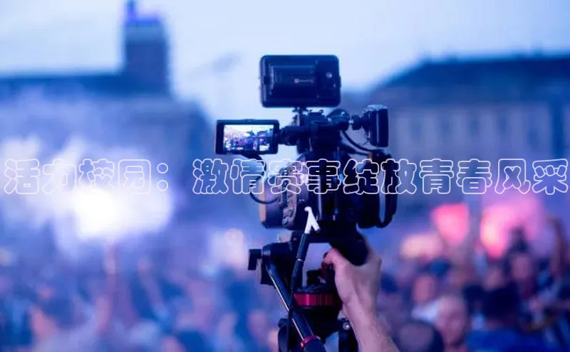 杏宇平台登录入口2024最新版