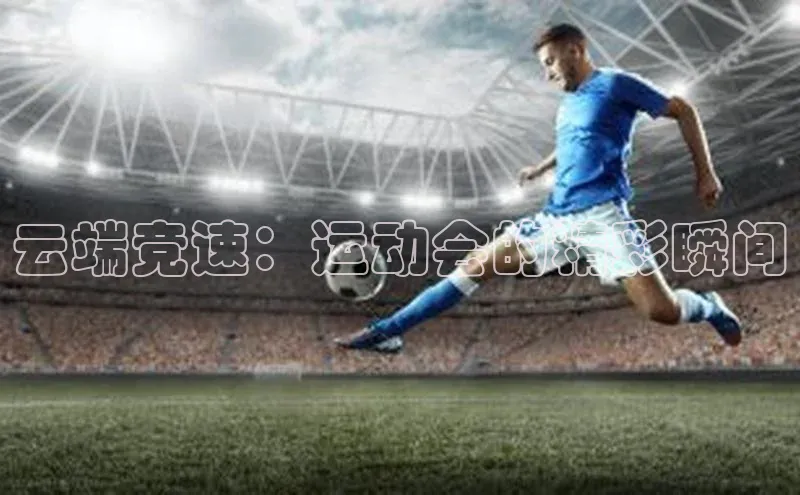 杏宇代理登录中心