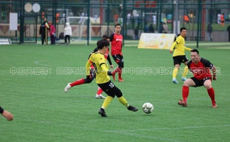 杏宇代理登录中心