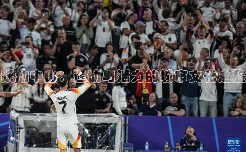 杏宇平台登录入口2024最新版