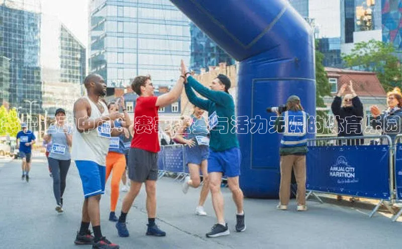 杏宇代理登录中心