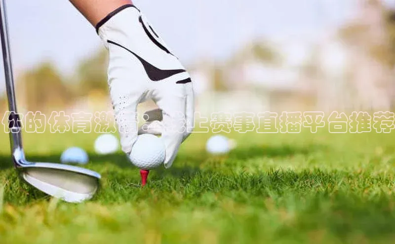 杏宇代理登录中心