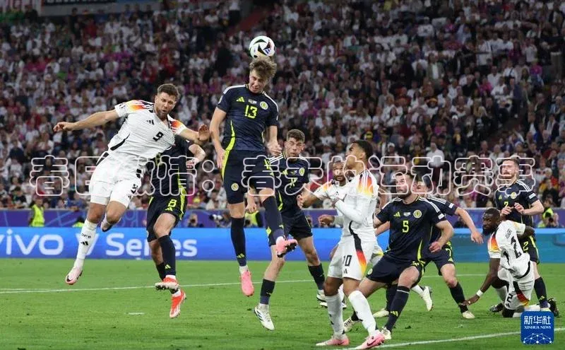 杏宇手游官网入口最新版本更新内容