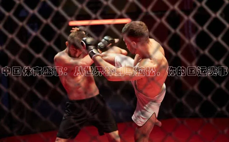 杏宇平台登录入口注册账号