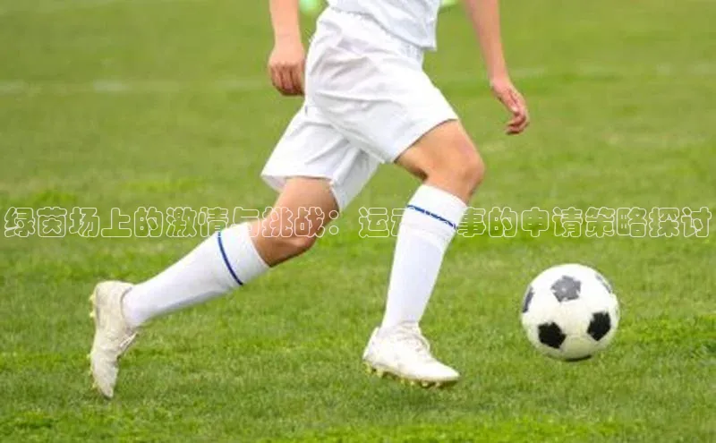 杏宇手游官网入口最新版本更新内容