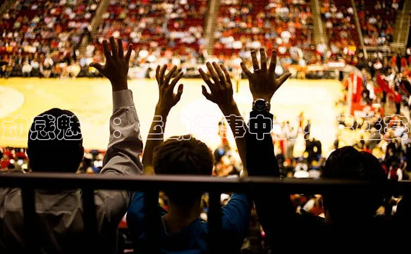 杏宇平台代理注册