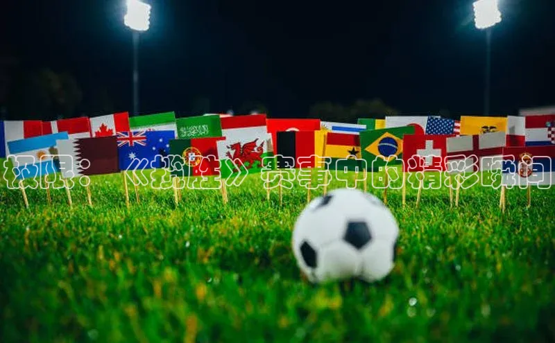 杏宇娱乐平台登录