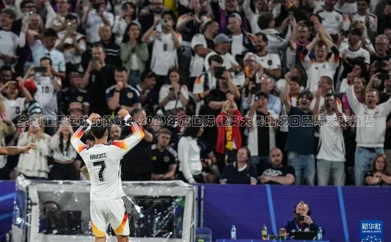 杏宇平台登录首页