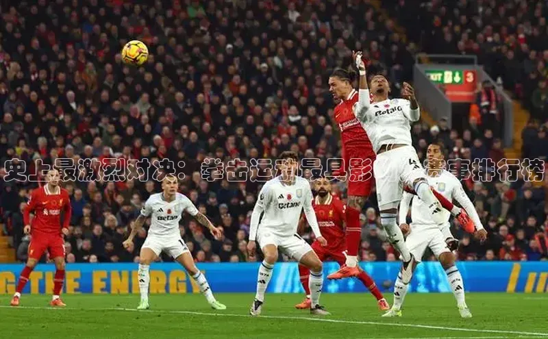 杏宇平台登录入口2024最新版