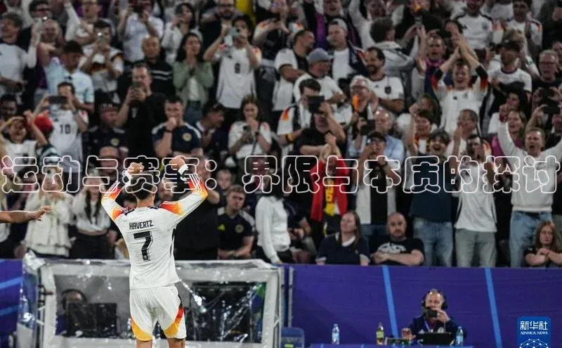 杏宇代理登录中心